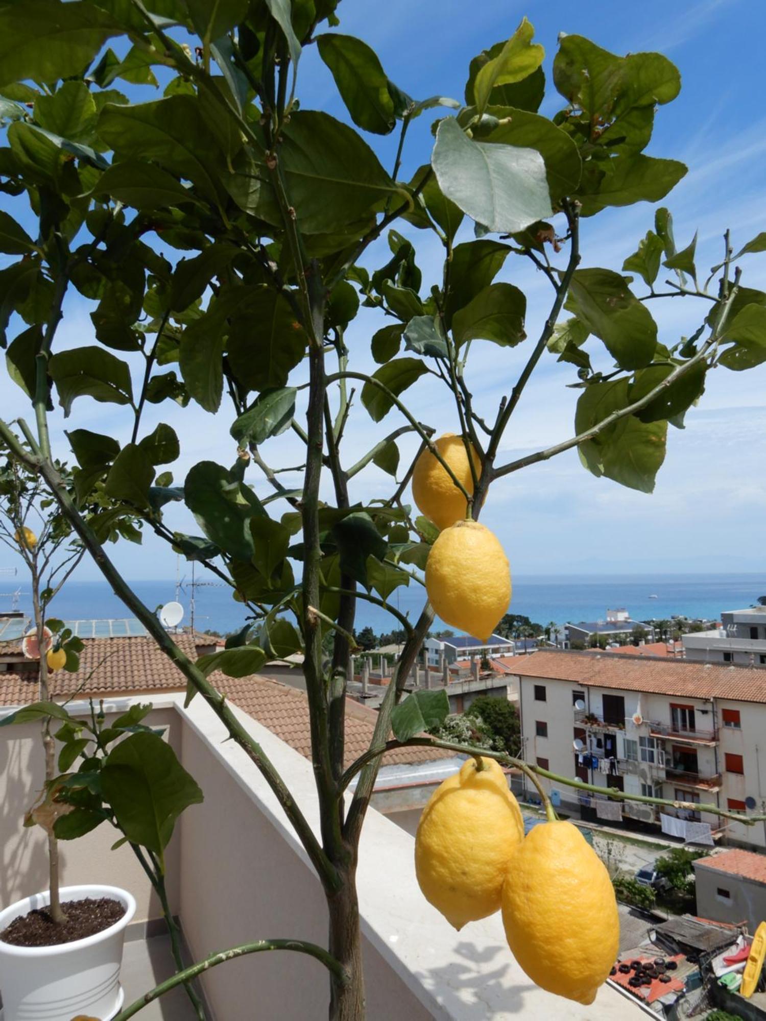 Middle Town Palace Tropea Luaran gambar