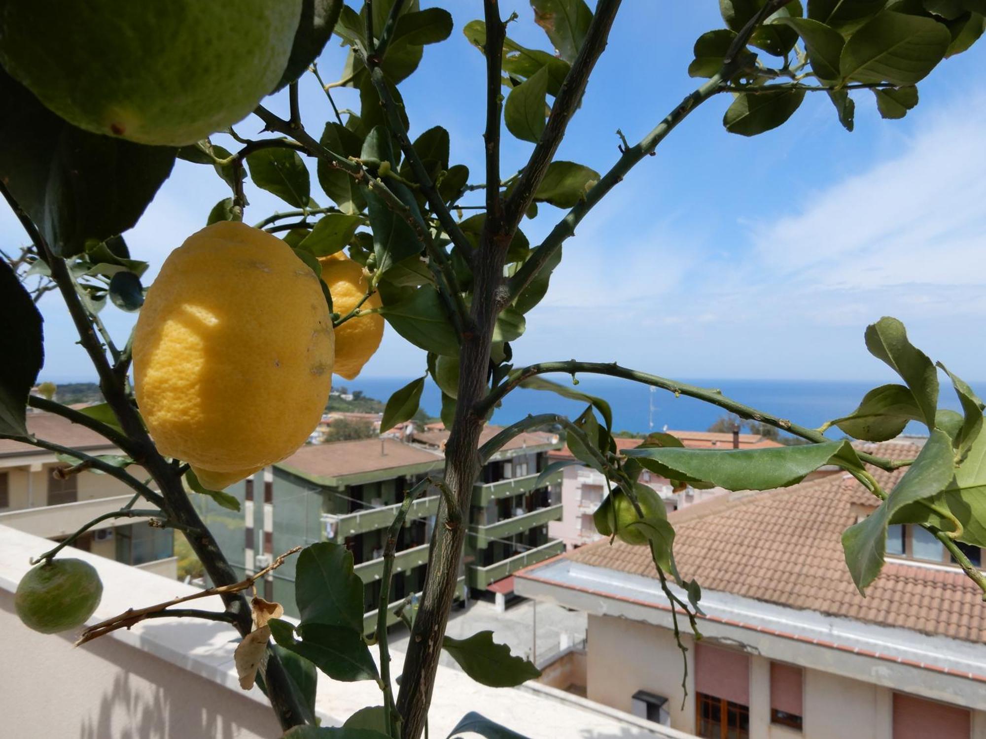 Middle Town Palace Tropea Luaran gambar
